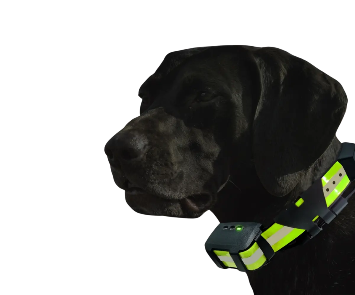 Untitled (1200 x 450 px) (4)